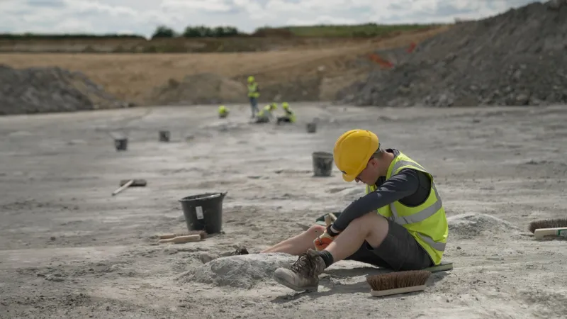 The excavation took place over the summer