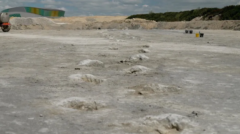 These footprints were made 166 million years ago as a dinosaur walked across a lagoon